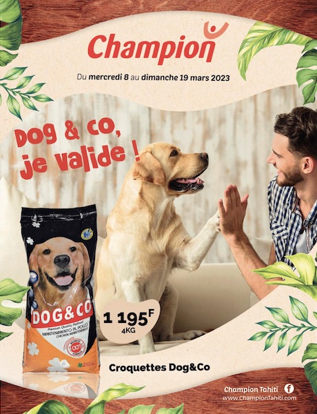 DOG &…<br>CHAMPION