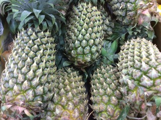 ANANAS PRIMEUR