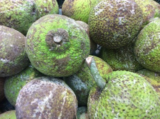 URU PRIMEUR