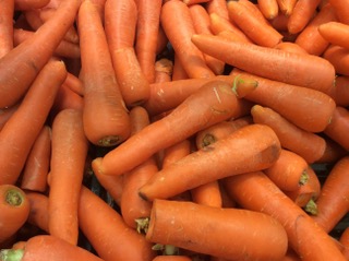 CAROTTE PRIMEUR