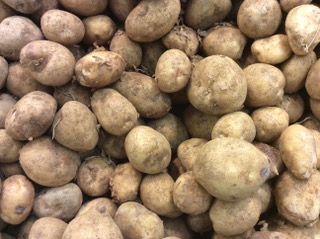 POMME DE TERRE PRIMEUR