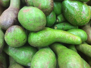 AVOCAT PRIMEUR