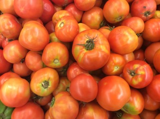 TOMATE PRIMEUR