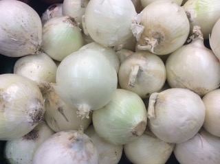 OIGNON BLANC PRIMEUR
