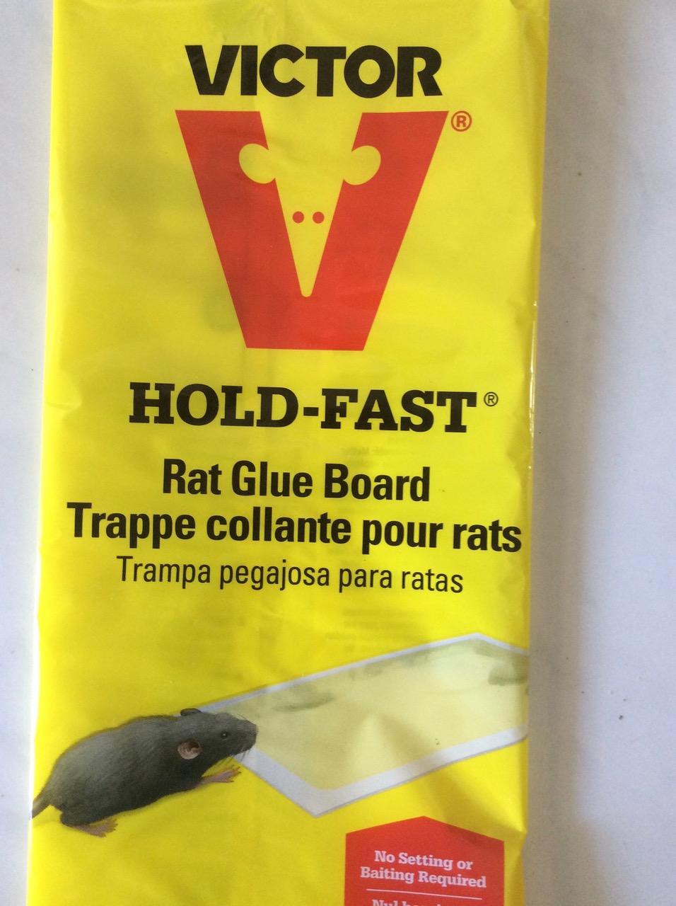 HOLD FAST
