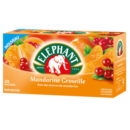 INFUSION MANDARINE GROSEILLE