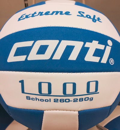 BALLON DE VOLLEY
