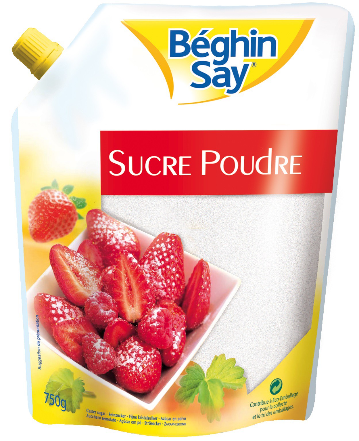 SUCRE EN POUDRE