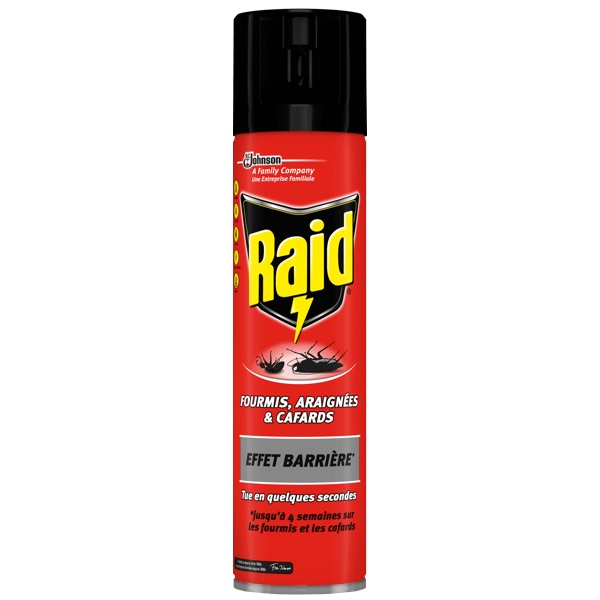 INSECTES RAMPANTS