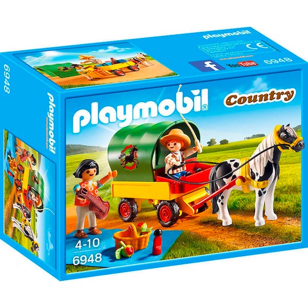 6948 CHARIOT PONEY
