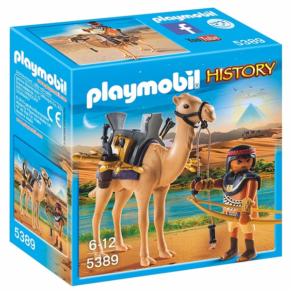 5389 DROMADAIRE