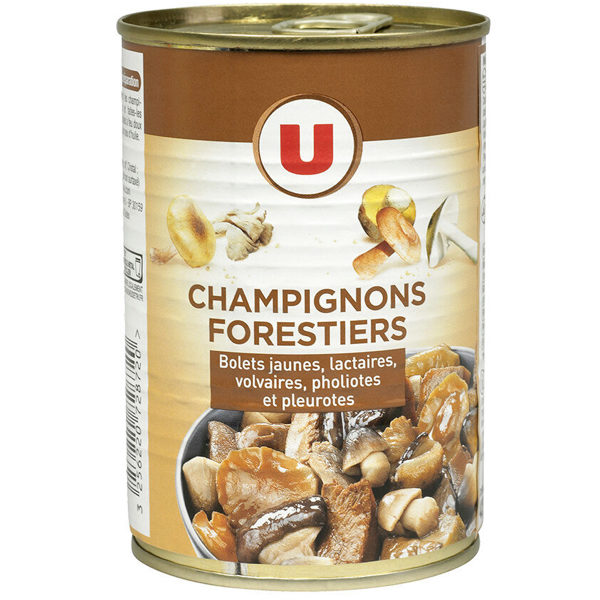 CHAMPIGNONS FORESTIERS