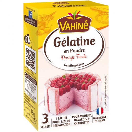 GELATINE EN POUDRE