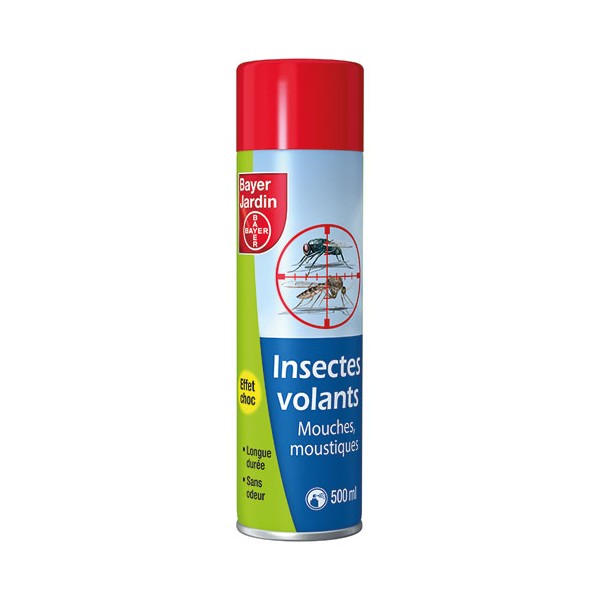 INSECTES VOLANTS