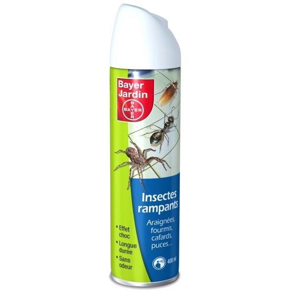 INSECTES RAMPANTS