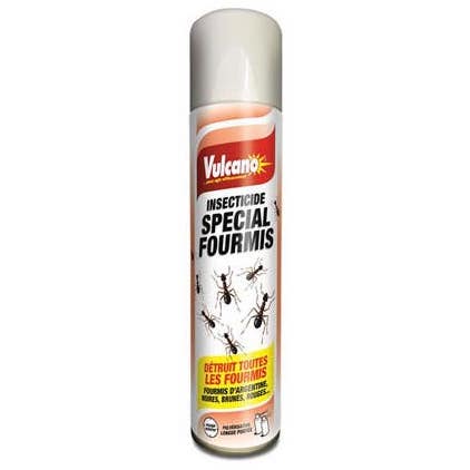 SPECIAL FOURMIS