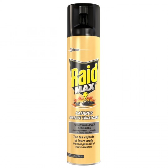 RAID MAX