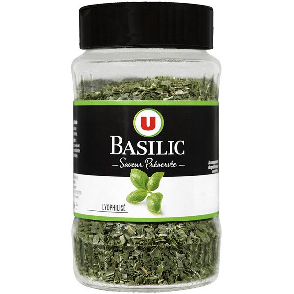 BASILIC