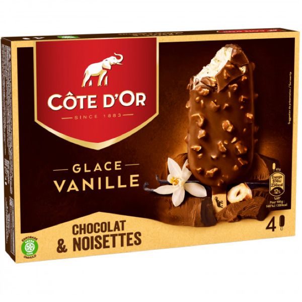GLACE VANILLE CHOCOLAT NOISETTES