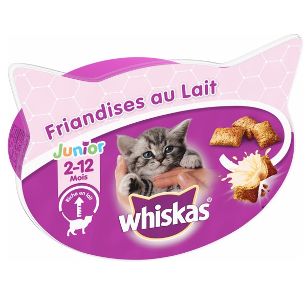 FRIANDISES AU LAIT